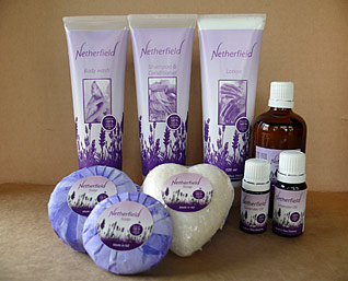 Our Lavender Oil Products