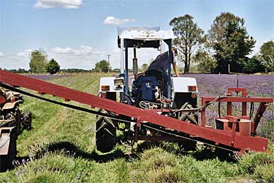 Lavender Harvester